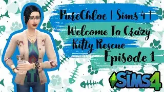 PureChloe | Sims 4 | Welcome To Crazy Kitty Rescue | Episode 1