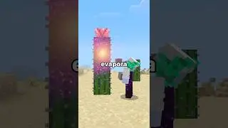 Coisas Engra&ccedil;adas no Minecraft