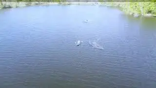 Fun at the lake 5/24/20