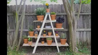 🌿 Grow More in Less Space: Vertical Gardening Hacks 🌿