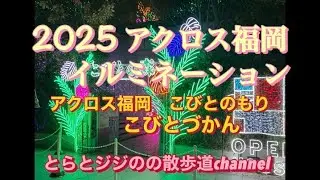 2025 アクロス福岡　イルミネーション　アクロス福岡　こびとのもり　こびとづかん　@Catseye1123 