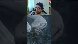 Что это за звук?.. #sekiro #shorts