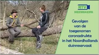 Gevolgen van de toegenomen coronadrukte in het Noordhollands duinreservaat