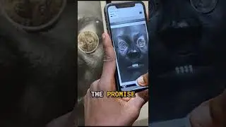 From Africa to the metaverse: The story behind Africa's first AR Art collection till date - Pt 3