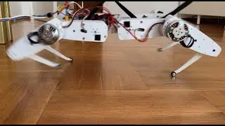 Tinymovr Quadruped - More Walking Tests