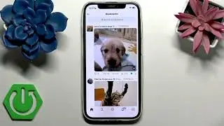 How to See Bookmarks on X