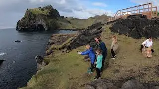 Iceland Puffin Rescue in Westman Islands - Puffin Yeet!