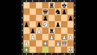 Borislav Ivkov-Miguel Najdorf, Wijk aan Zee 1971, Result: 1-0