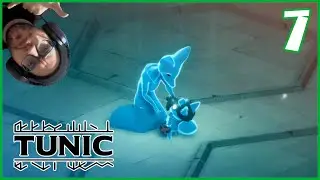 PC l TUNIC 100% l #7 l &iexcl;VAMOS AL 