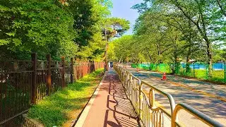 [4K SEOUL] 한적하고 고요한 서울 은평구 서오릉로 따라 걷기