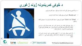 Seat Belts Save Lives