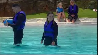 O turdeancă a primit inelul de logodnă printre... delfini!