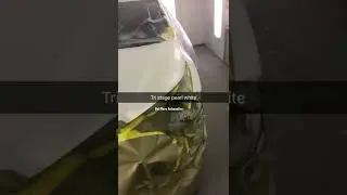 Air drying waterborne paint tri stage Pearl white fenders hood doors