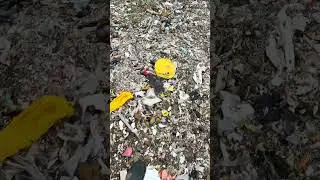 Massive illegal dump of industrial processed waste on flood plain in Gloucester