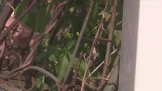 Children's Memorial Garden spared by Lynn Haven tornado