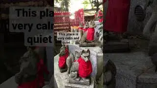 Таинственное святилище в Японии 🦊 #шорты