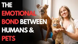 The Emotional Bond Between Humans & Pets: How They Truly Feel 🐶❤️