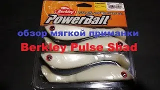 Видеообзор мягкой приманки Berkley Pulse Shad по заказу Fmagazin