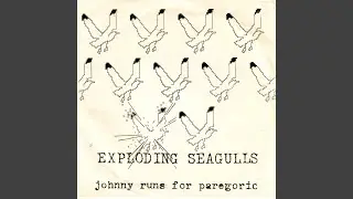 Johnny Runs For Paregoric