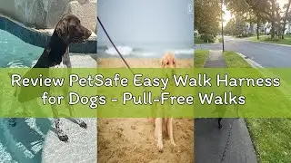 Review PetSafe Easy Walk Harness for Dogs - Pull-Free Walks - Patented Martingale Loop Design - Fron