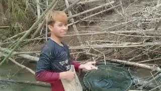 พาน้องๆ ไปหาปลาตามห้วยแบบแถวชนบท