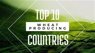 WHEAT TOP PRODUCING COUNTRIES - WHEAT TOP IMPORT AND EXPORT COUNTRIES