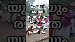 മലബാറിലെ തെയ്യങ്ങൾ