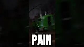 Тюнингованный грузовик врезался в это дерево.