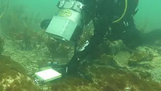 Spectra Vista Underwater HR-512i