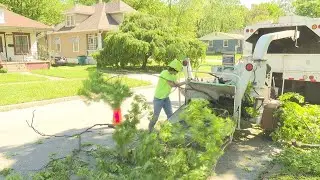 Tree service companies working long hours week after powerful storm