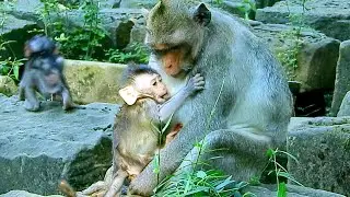 That was not baby.. Mom Jazzy really kind let other kid got her milk taste.