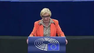 MEP Frances Fitzgerald debates Energy Crisis and solutions for Europeans to pay their bills!