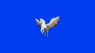 Ollie Joseph - High Horse