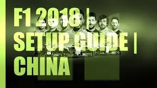 F1 2018 | My Career mode Custom setup for CHINA - DRY