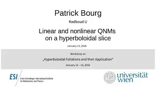 Patrick Bourg - Linear and nonlinear QNMs on a hyperboloidal slice