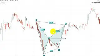 #دورة_الهارمونيك 3 : تطبيق الخفاش Bat