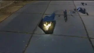 Video Extra: Deer in pool