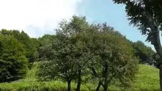 becoming ossola - Val Grande, Cicogna e Pogallo