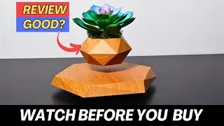 Coolest Desk Plant Ever Discovered! (Floating Pot for Plant)