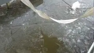 20130124 1124231