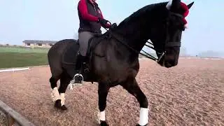 Lucy Millward and Neen Keltic Lad - SSRC Puddings Medium 5B December 2025
