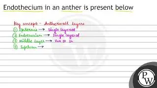 Endothecium in an anther is present below