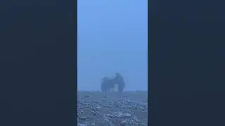 mount Ararat trek tour