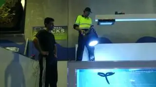 New maxspect commercial bright led flood lights