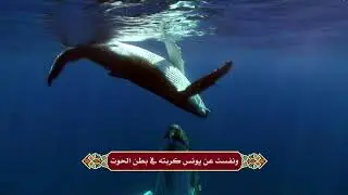 دعاء الطائر الرومي | مجربٌ للفكاك من الأسر بإذن الله