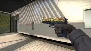 P2000 Corticera - Factory New - CS:GO Skin Showcase