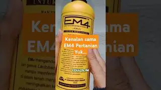Manfaat EM4 Pertanian #em4 #em4pertanian #berkebun #kebunpemula #tipsberkebun #tipspemula #degarden