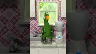 Talking Pierre the Parrot  