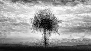 Multi Exposure Project   Claudio Dell'Osa Photographer 4K