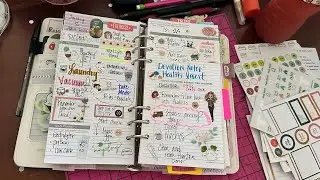 Daily Plan w/ Me - Standard Rings #websterpages #travelersnotebook